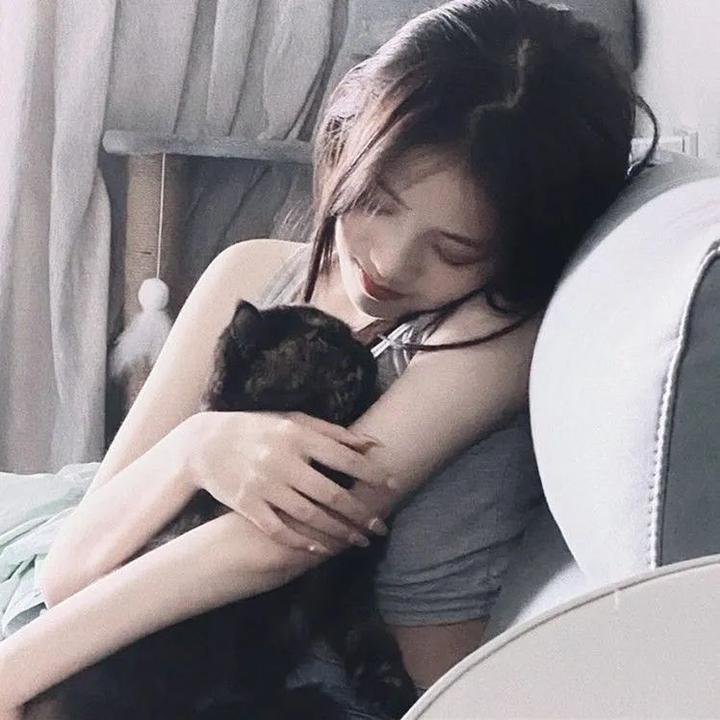 赖猫的狮子倒影